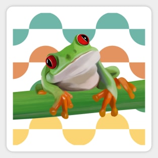 Cute Tree Frog Colorful Semi Circle Pattern Background Magnet